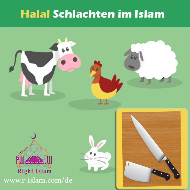 Halal Schlachten im Islam – Was muss ich wissen?